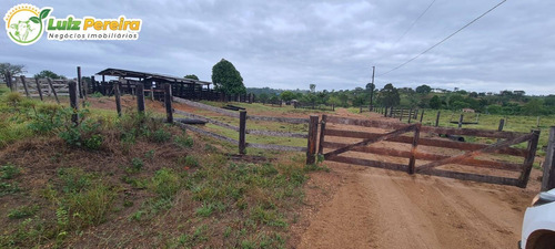 Imagem 8 de 15 de Fazenda À Venda Em Breu Branco - Pa 1.377 Hectares (dupla Aptidão) - 2271