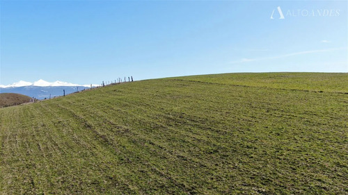 Sitio En Venta En Coihaique