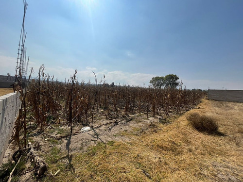 Vendo Terreno 5,000 M2 En Santa Cruz Cuauhtenco, Zinacantepec
