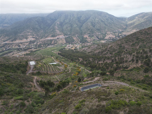 Parcela Agrícola Con Producción En Los Maquis