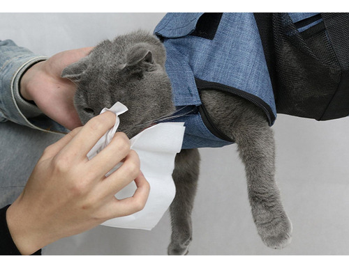 Hamaca Cómoda Del Bolso De La Sujeción Del Aseo Del Gato
