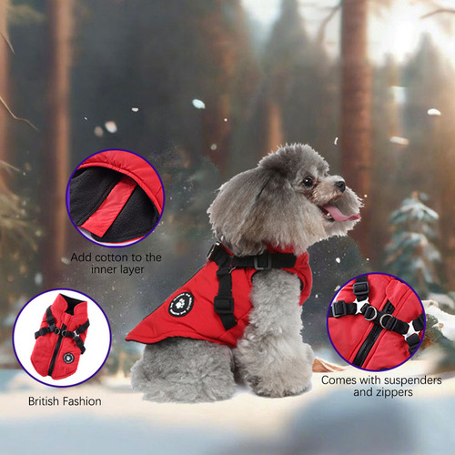 . Chaqueta Para Mascotas, Ropa Con Cierre Y Correa