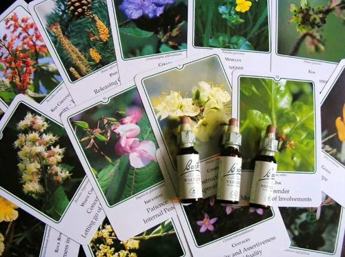 Imagem 1 de 1 de Consulta +receituario Personalizado Com Florais De Bach
