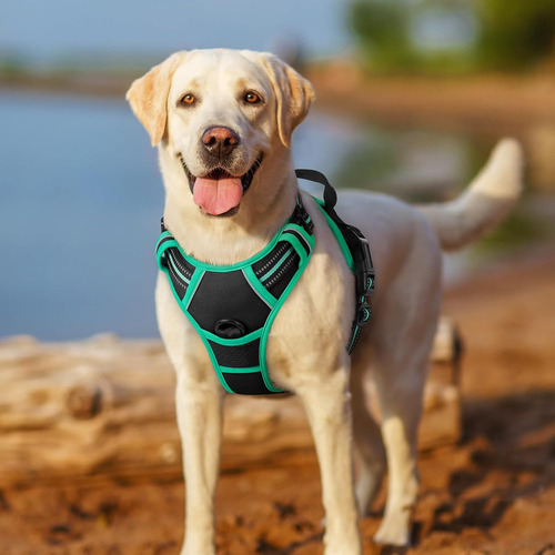Arnés Para Perro Rabbitgoo, Ajustable, Sin Ahogo, Modelo L