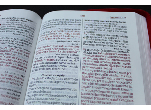 Santa Biblia Reina Valera 1960 Letra Gigante Roja C/cierre