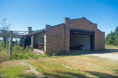 Vendo Campo De 242 Hectas En Proximidades A Ciudad De Libertad