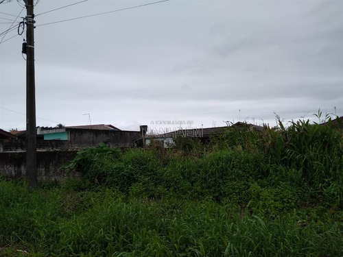 Imagem 5 de 6 de Terreno - Venda - Tupy - Itanhaem - Ita2612