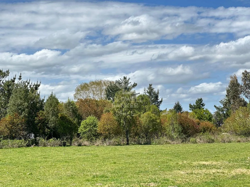 Parcela A Minutos De Osorno, Camino A Puerto Octay