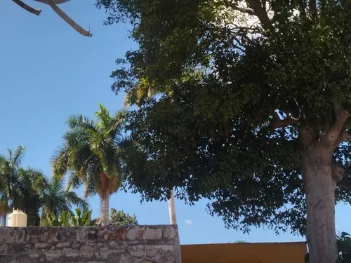Casa De 4 Recámaras En Renta O Venta En García Ginerés