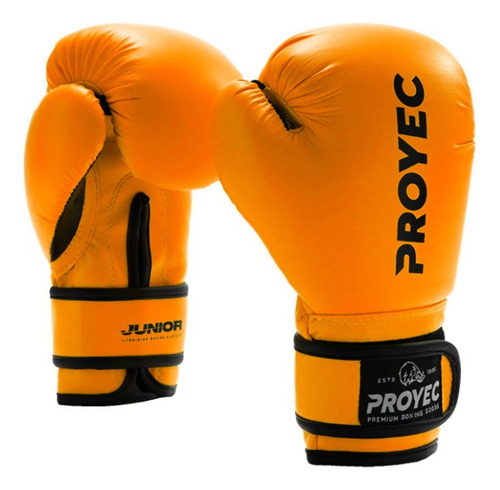 Guantes Boxeo Infantil Proyec Box Kick Boxing Full Thai Mma