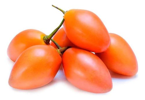 Sobre Para Sembrar 25 Tomate Arbol Tomatillo Andino