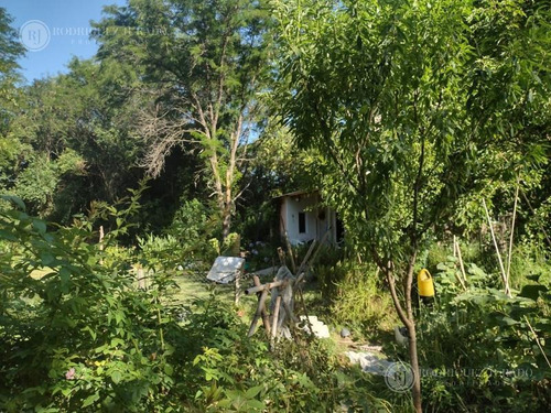 Imagen 22 de 30 de Casa En Venta En Zelaya 3.040m2, Increíble Arboleda