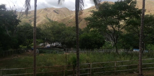 Imagen 1 de 11 de Se Vende Finca Lista Para Trabajar Negociable 04243290129