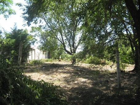 Imagen 1 de 8 de Lote En Mirador Del Lago A Tan Solo Dos Cuadras Ruta 38