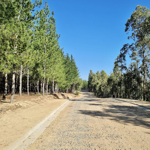 Terreno En Exclusivo Condominio En Matanzas