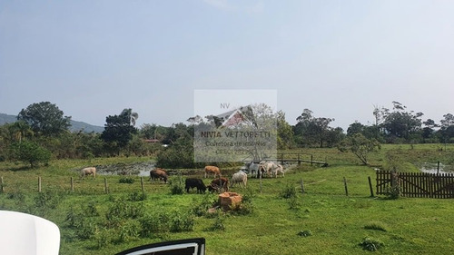 Imagem 4 de 18 de Sítio A Venda No Bairro Ratones Em Florianópolis - Sc. - 4298-1