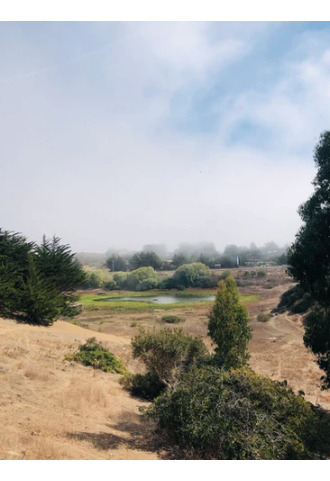 Sitio En Venta En Pichilemu