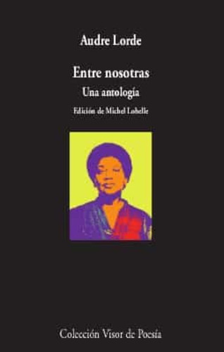 Entre Nosotras Audre Lorde Una Antologia Editorial Visor