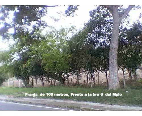 Venta Lote De 11200mts2 En San Pedro (valle), Valle Del Cauca 8937.