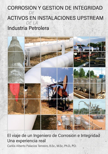 Libro: Corrosion Y Gestion De Integridad De Activos En Insta