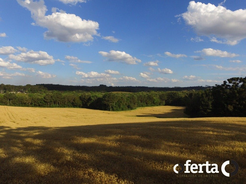 Imagem 5 de 14 de Chacara - Tiete - Ref: 573 - V-573