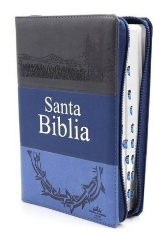Biblia Rv60 Tricolor Azul - $ 7.000