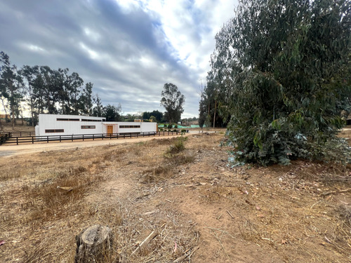 Imagen 13 de 22 de Sitio En Condominio De Categoría En Venta En Puchuncaví