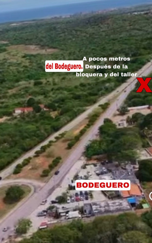 Terreno En Plena Avenida Luisa Caceres De Arismendi (cerca Del Bodeguero)