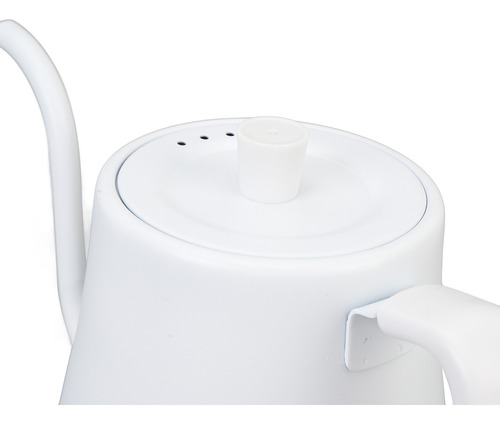 Hervidor Eléctrico Gooseneck De Acero Inoxidable Fast De 100