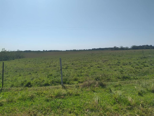 Imagen 7 de 13 de Finca En Barinas Carretera Vieja A 20 Min..de Barinas