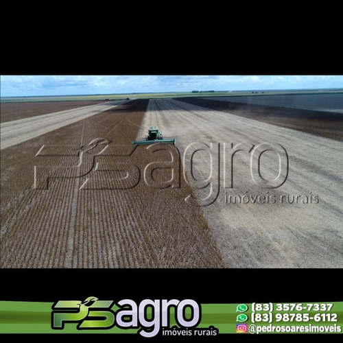 Imagem 9 de 15 de Fazenda À Venda, 12 Mil Hectares Por R$ 365.000.000 - Zona Rural - Chapadão/piauí - Fa0190