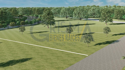 Increíbles Terrenos En Venta Frente Al Estero En Juana Moza, Tuxpan Ver.