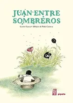 Comprar Juan Entre Sombreros Pipala, De Ganza Gaston. Editorial Adriana Hidalgo En Español