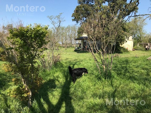 Imagen 10 de 25 de Venta Chacra San Miguel Del Monte