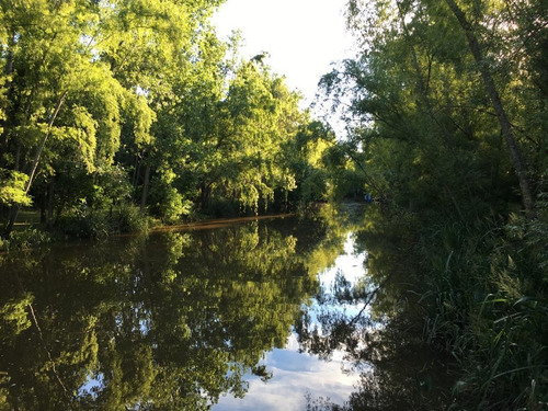 Casa En Alquiler Temporario, Dique Luján, Tigre