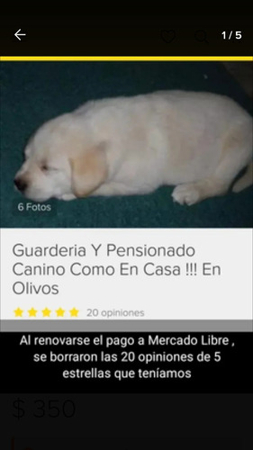 Imagen 1 de 5 de Guardería Canina Como En Casa En Olivos! (desde El Año 2010)