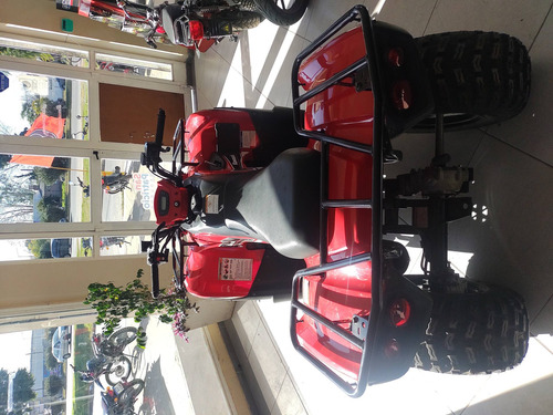 Imagen 3 de 7 de Kawasaki Bruteforce Automoto Sur