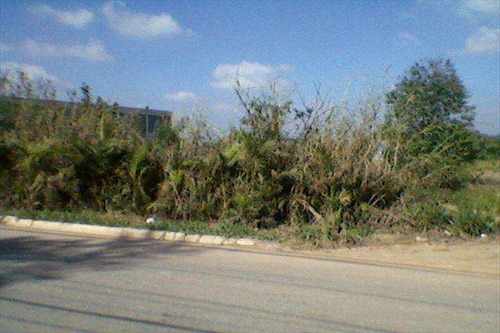 Imagem 3 de 5 de Terreno Em Santana De Parnaíba Bairro Chácara Estela - V2801