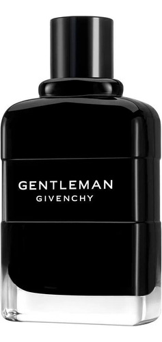 Gentleman Givenchy Masculino Eau De Parfum 100ml