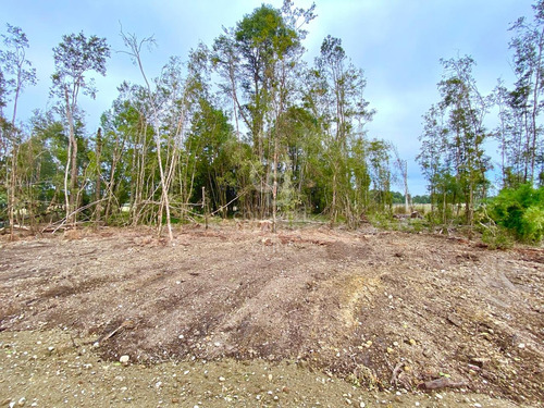 Entorno Tranquilo Y Seguro I Condominio Foresta