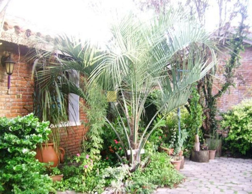 Imagen 18 de 18 de Casa - Maldonado Altos Del Pinar
