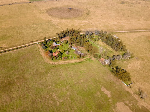 Imagen 26 de 29 de Chacra - Casa Quinta De 20 Ha En Uribelarrea