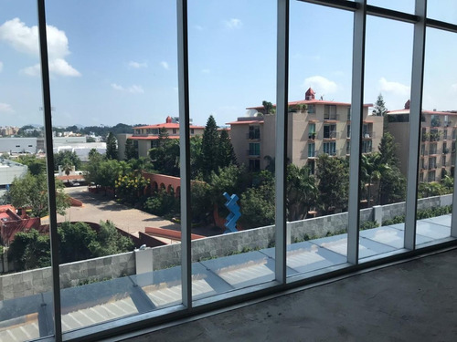 Imagen 13 de 16 de Corporativo En Renta O Venta