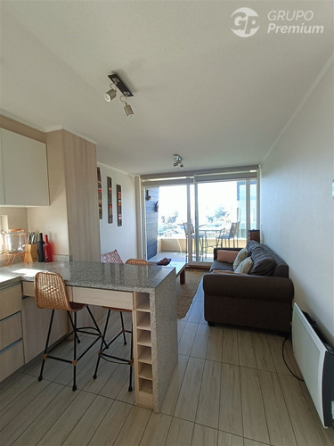 Departamento En Venta De 1 Dorm. En Pucón