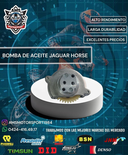 Bomba De Aceite Jaguar Horse