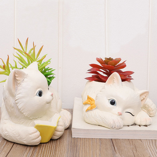 Maceta Suculenta Para Gatos, Plantas Suculentas