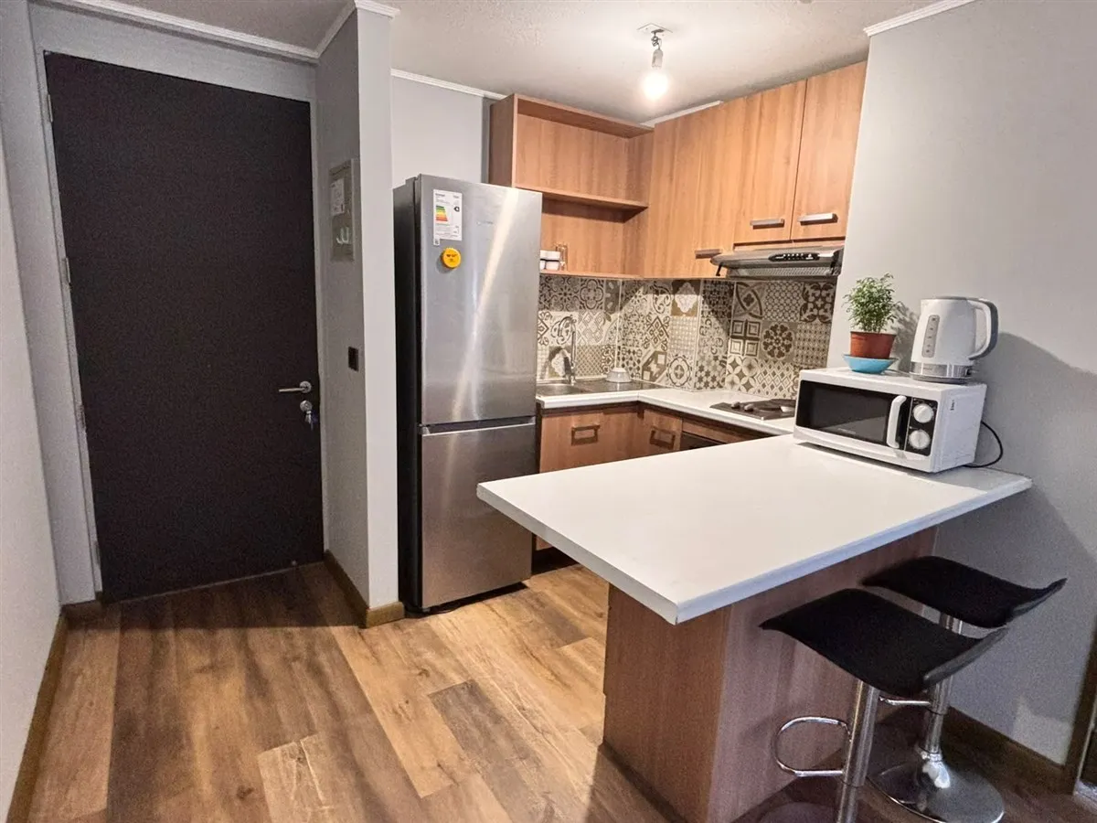 Imagen 2 de 21 de Departamento En Arriendo De 1d 1b En Estación Central