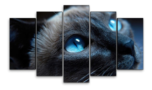 Cuadro Decorativo Moderno Gato Mirada Jd-0343 G Quíntuple 100x60 Cm Sin Marco