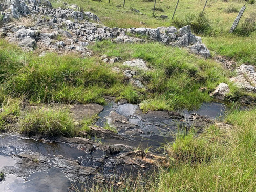 Campo 35 Has. Cerca De Aiguá