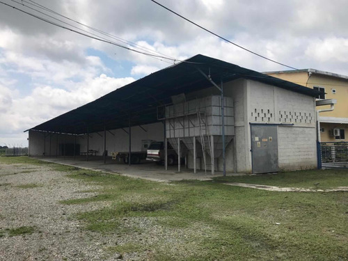 Imagen 3 de 27 de En Venta Finca De 118 Hectáreas , Y Granja Porcina , De 3.5